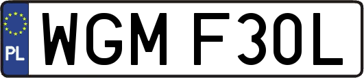 WGMF30L
