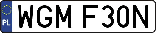 WGMF30N