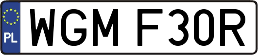 WGMF30R