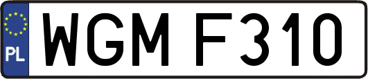 WGMF310