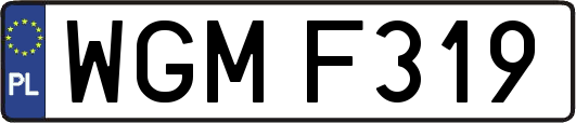 WGMF319