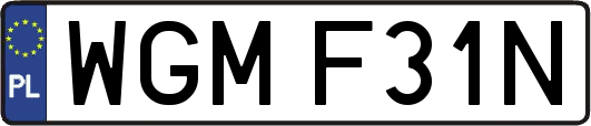 WGMF31N