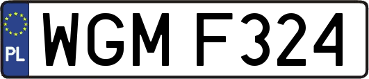 WGMF324