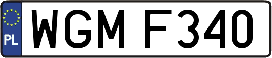 WGMF340