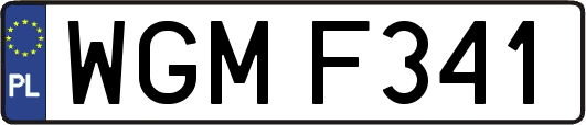 WGMF341