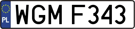 WGMF343