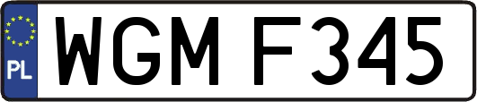 WGMF345