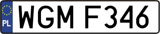 WGMF346