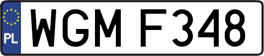 WGMF348