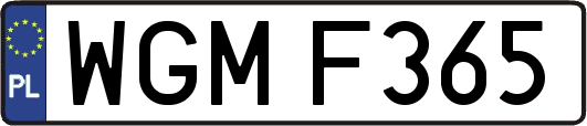 WGMF365