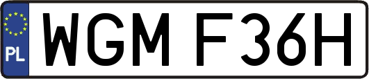 WGMF36H