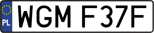 WGMF37F