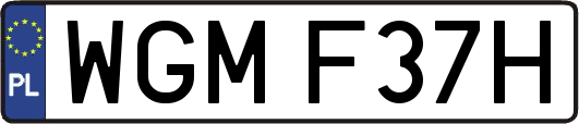 WGMF37H