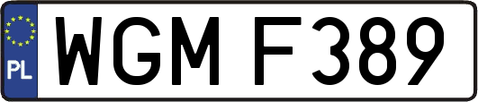 WGMF389