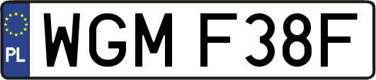 WGMF38F