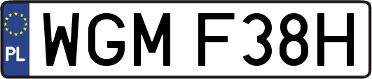 WGMF38H