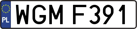 WGMF391