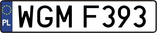WGMF393