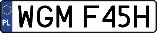 WGMF45H