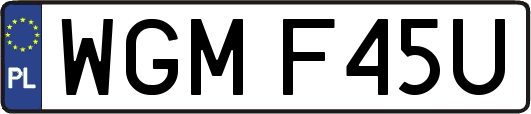 WGMF45U