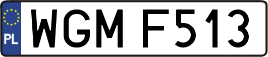 WGMF513