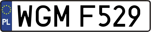 WGMF529