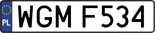WGMF534
