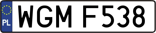 WGMF538