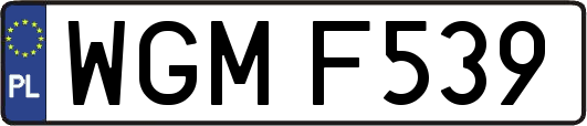 WGMF539