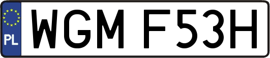 WGMF53H