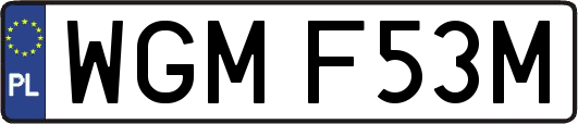 WGMF53M