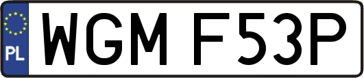 WGMF53P
