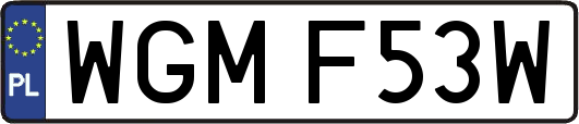 WGMF53W