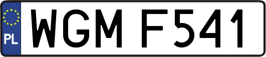 WGMF541