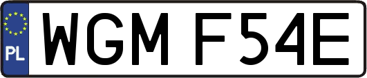 WGMF54E