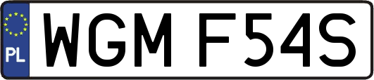 WGMF54S