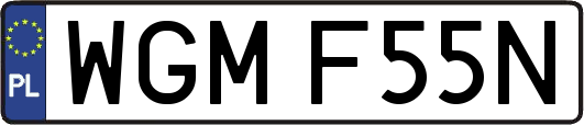 WGMF55N