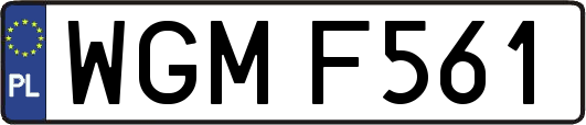 WGMF561