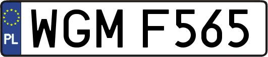 WGMF565