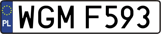 WGMF593
