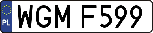 WGMF599