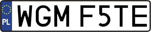 WGMF5TE