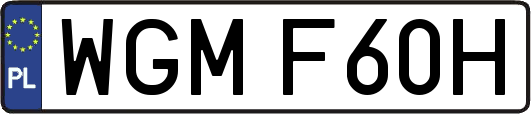 WGMF60H