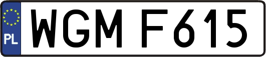 WGMF615