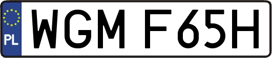 WGMF65H