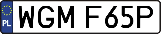 WGMF65P