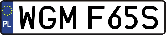 WGMF65S