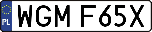 WGMF65X