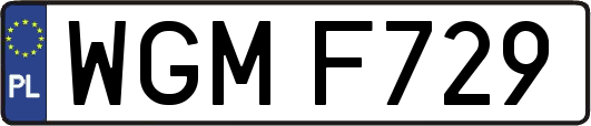 WGMF729