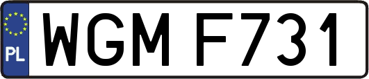 WGMF731